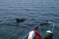 &copy; Tom Finke (Eberhardt TRAVEL)