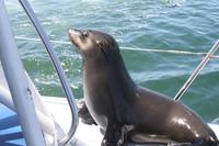 &copy; Tom Finke (Eberhardt TRAVEL)