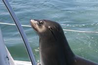 &copy; Tom Finke (Eberhardt TRAVEL)