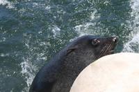 &copy; Tom Finke (Eberhardt TRAVEL)