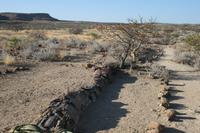 &copy; Tom Finke (Eberhardt TRAVEL)