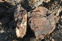 &copy; Tom Finke (Eberhardt TRAVEL)