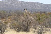 &copy; Tom Finke (Eberhardt TRAVEL)