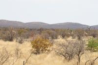 &copy; Tom Finke (Eberhardt TRAVEL)