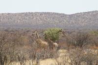 &copy; Tom Finke (Eberhardt TRAVEL)