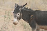 &copy; Tom Finke (Eberhardt TRAVEL)