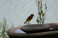 &copy; Tom Finke (Eberhardt TRAVEL)