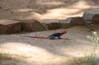 &copy; Tom Finke (Eberhardt TRAVEL)