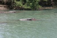 &copy; Tom Finke (Eberhardt TRAVEL)