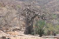 &copy; Tom Finke (Eberhardt TRAVEL)