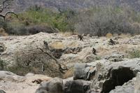 &copy; Tom Finke (Eberhardt TRAVEL)