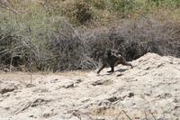 &copy; Tom Finke (Eberhardt TRAVEL)