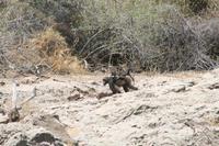 &copy; Tom Finke (Eberhardt TRAVEL)