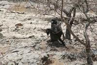 &copy; Tom Finke (Eberhardt TRAVEL)