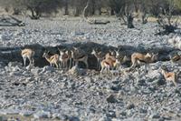 &copy; Tom Finke (Eberhardt TRAVEL)