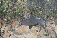 &copy; Tom Finke (Eberhardt TRAVEL)