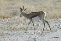 &copy; Tom Finke (Eberhardt TRAVEL)