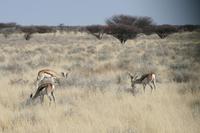 &copy; Tom Finke (Eberhardt TRAVEL)