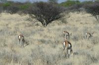 &copy; Tom Finke (Eberhardt TRAVEL)