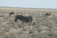 &copy; Tom Finke (Eberhardt TRAVEL)