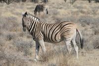 &copy; Tom Finke (Eberhardt TRAVEL)