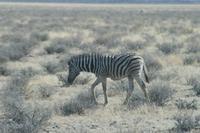 &copy; Tom Finke (Eberhardt TRAVEL)