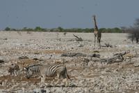 &copy; Tom Finke (Eberhardt TRAVEL)