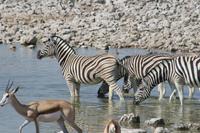 &copy; Tom Finke (Eberhardt TRAVEL)