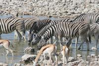 &copy; Tom Finke (Eberhardt TRAVEL)