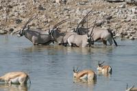 &copy; Tom Finke (Eberhardt TRAVEL)