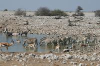 &copy; Tom Finke (Eberhardt TRAVEL)