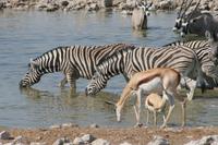 &copy; Tom Finke (Eberhardt TRAVEL)