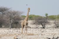 &copy; Tom Finke (Eberhardt TRAVEL)