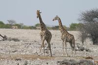 &copy; Tom Finke (Eberhardt TRAVEL)