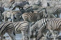 &copy; Tom Finke (Eberhardt TRAVEL)