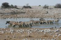 &copy; Tom Finke (Eberhardt TRAVEL)