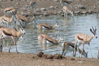 &copy; Tom Finke (Eberhardt TRAVEL)