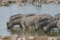 &copy; Tom Finke (Eberhardt TRAVEL)