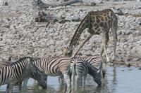 &copy; Tom Finke (Eberhardt TRAVEL)