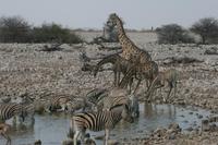 &copy; Tom Finke (Eberhardt TRAVEL)