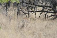 &copy; Tom Finke (Eberhardt TRAVEL)