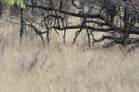 &copy; Tom Finke (Eberhardt TRAVEL)