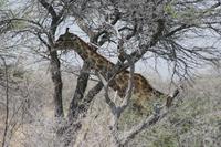 &copy; Tom Finke (Eberhardt TRAVEL)