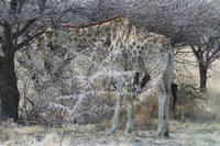 &copy; Tom Finke (Eberhardt TRAVEL)