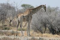 &copy; Tom Finke (Eberhardt TRAVEL)