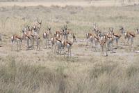 &copy; Tom Finke (Eberhardt TRAVEL)