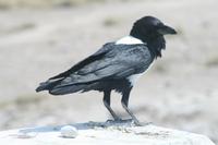 &copy; Tom Finke (Eberhardt TRAVEL)