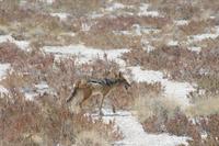 &copy; Tom Finke (Eberhardt TRAVEL)