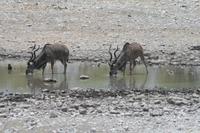 &copy; Tom Finke (Eberhardt TRAVEL)