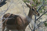 &copy; Tom Finke (Eberhardt TRAVEL)